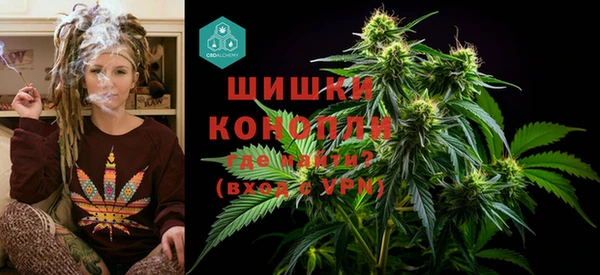 твердый Кулебаки
