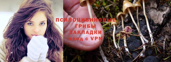 2c-b Костерёво